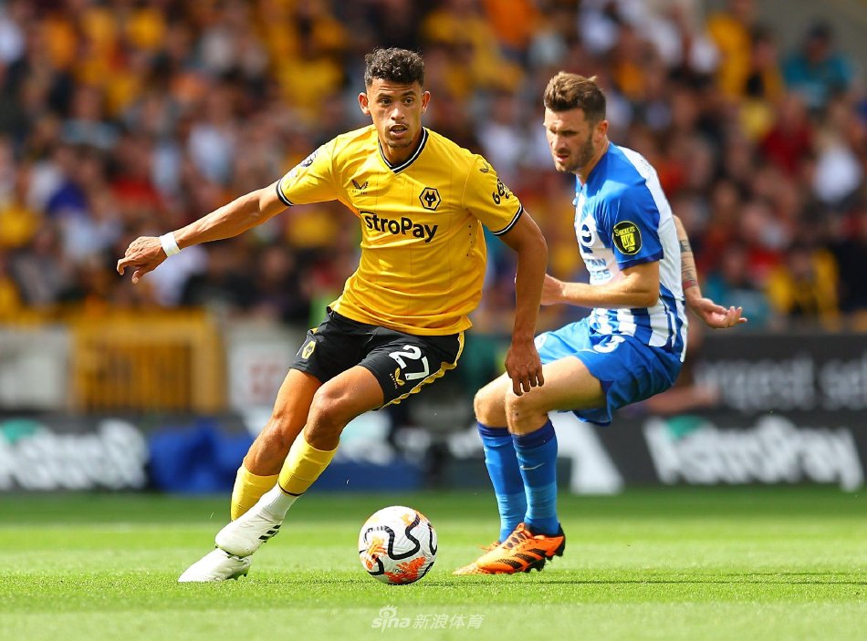 迷兴奋不已 迷兴奋不已